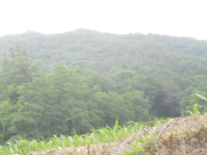 대전지법 2015타경13447-1 사진