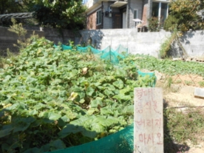 대전지법 2015타경19421-1 사진