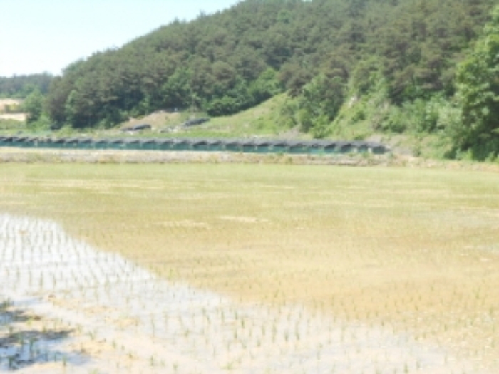 대전지법 2015타경100990-1 사진