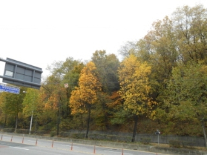 대전지법 2015타경105209-1 사진