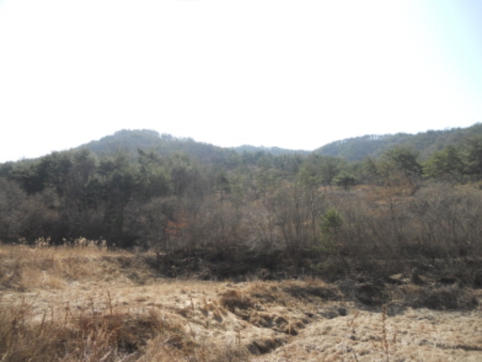 대전지법 2016타경3546-1 사진