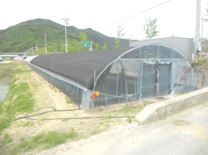 대전지법 2016타경6255-1 사진