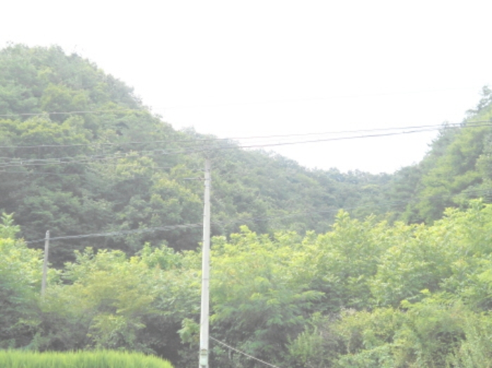 대전지법 2016타경103699-1 사진