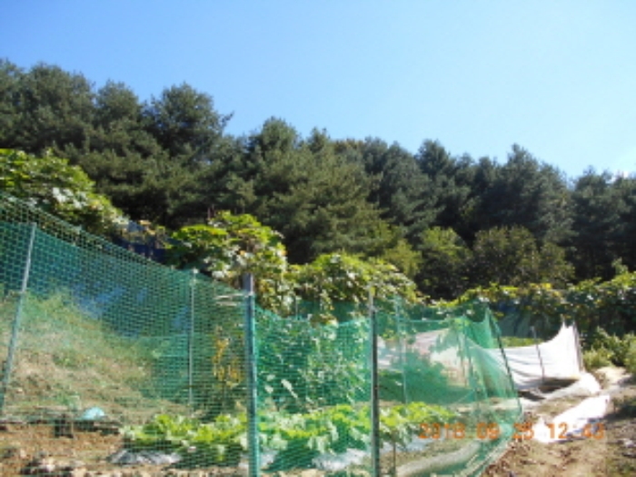 대전지법 2018타경13301-1 사진