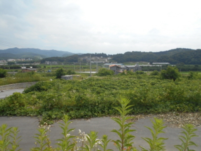 대전지법 2019타경8894-1 사진