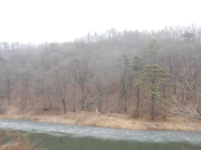 대전지법 2019타경101281-1 사진