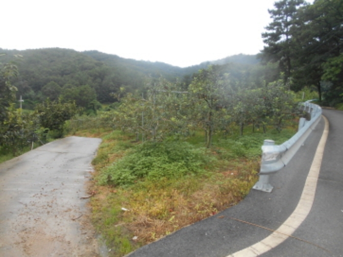 대전지법 2019타경107517-1 사진