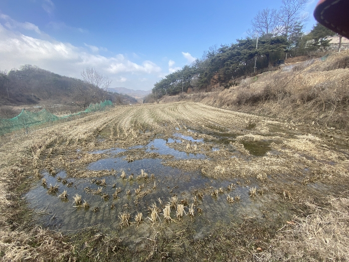 대전지법 2024타경100954-1 사진