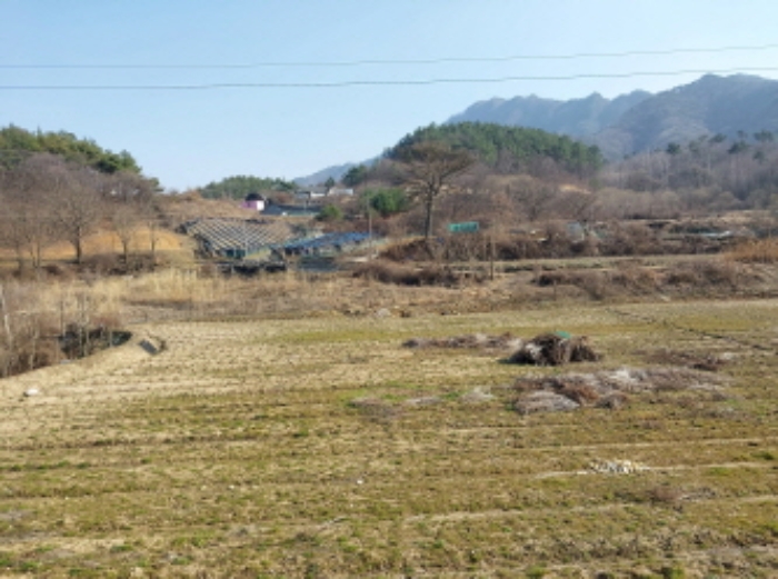 대전지법 2024타경104475-1 사진