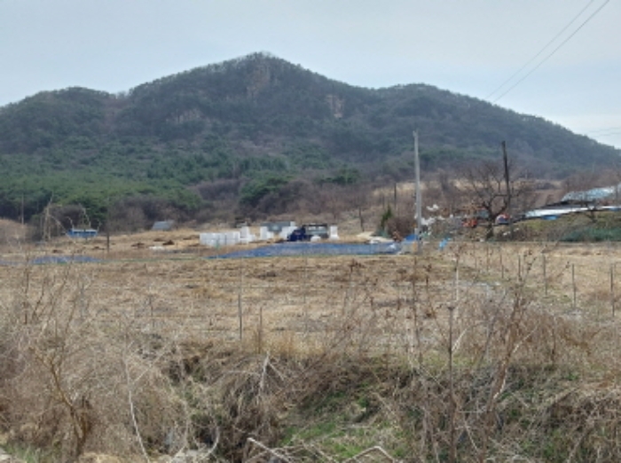 대전지법 2024타경104499-1 사진