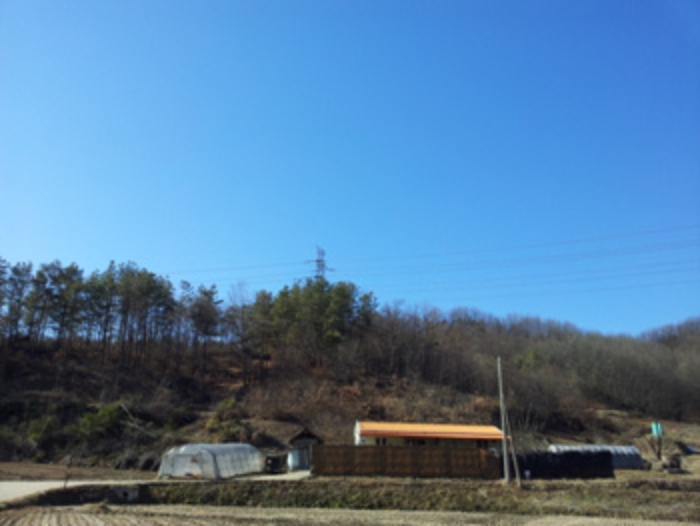 홍성지원 2014타경41-3 사진