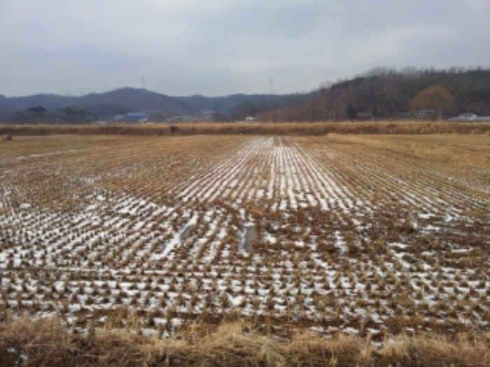 홍성지원 2014타경942-1 사진