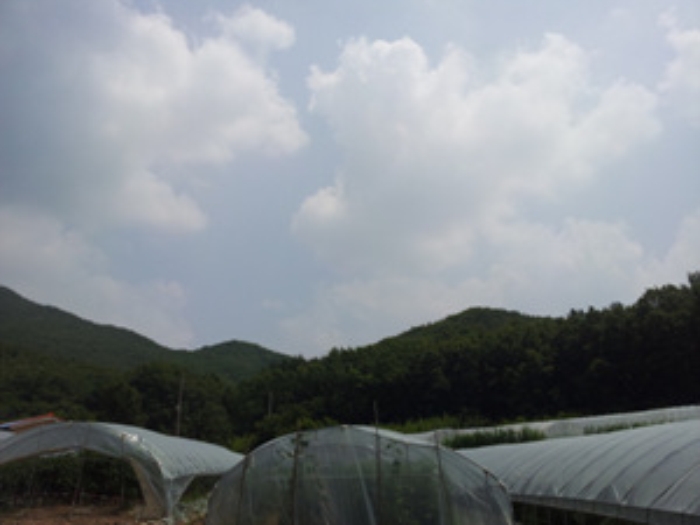 홍성지원 2014타경5336-1 사진