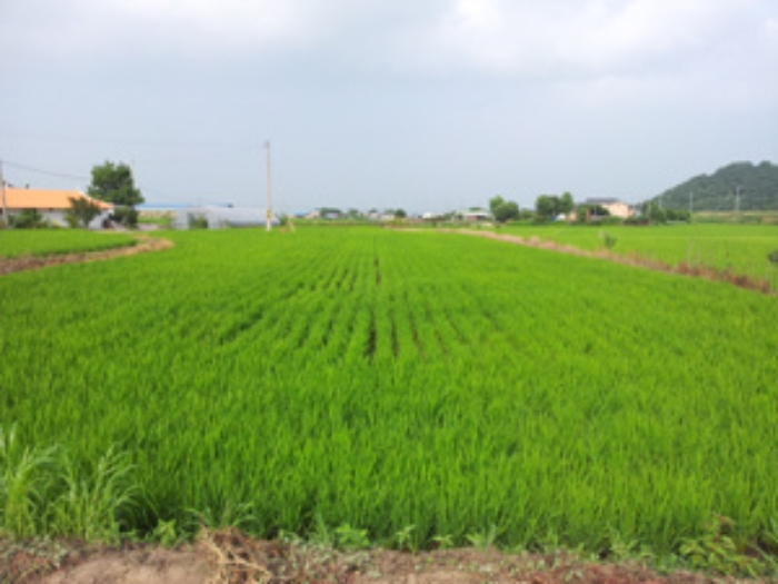 홍성지원 2014타경5428-2 사진
