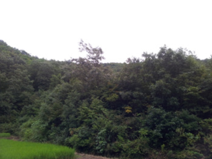 홍성지원 2014타경7059-1 사진