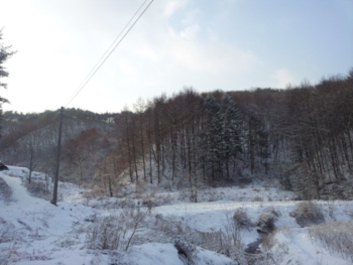 홍성지원 2014타경10970-1 사진