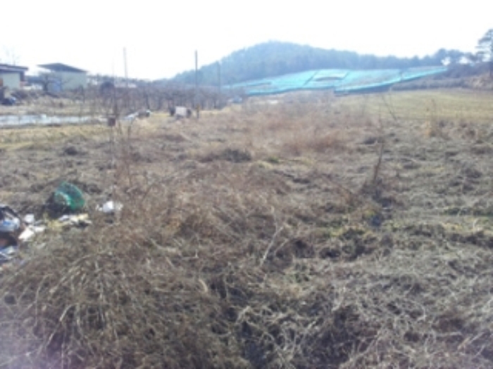 홍성지원 2015타경567-1 사진
