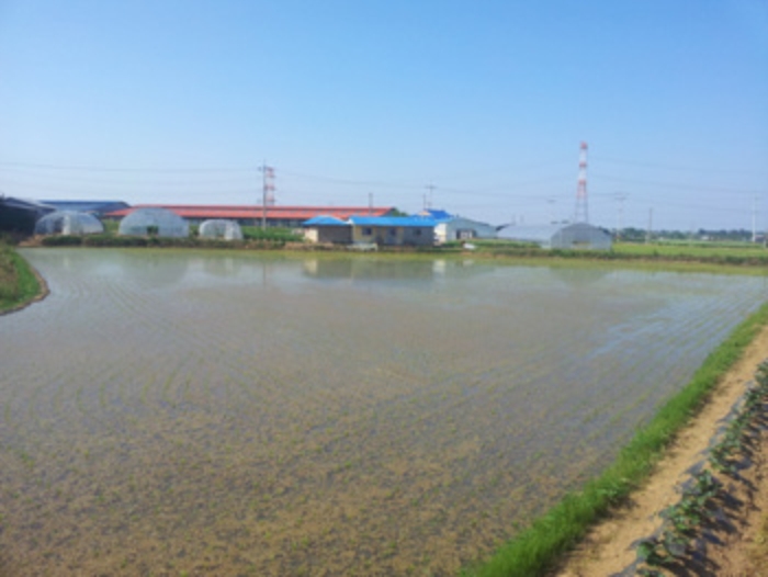 홍성지원 2015타경4446-1 사진