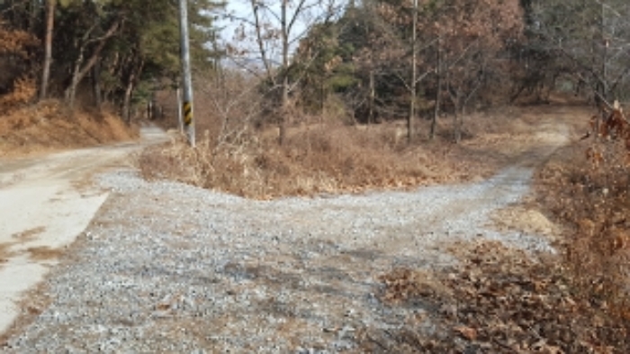 홍성지원 2019타경794-1 사진