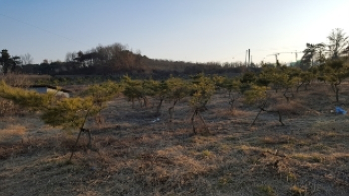 홍성지원 2019타경923-1 사진