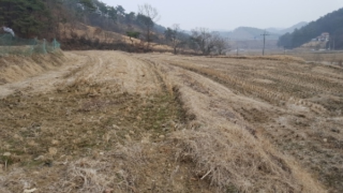 홍성지원 2019타경1018-3 사진