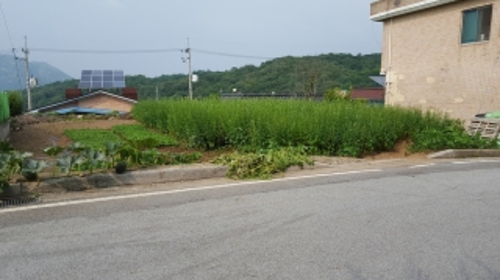 홍성지원 2019타경4017-1 사진