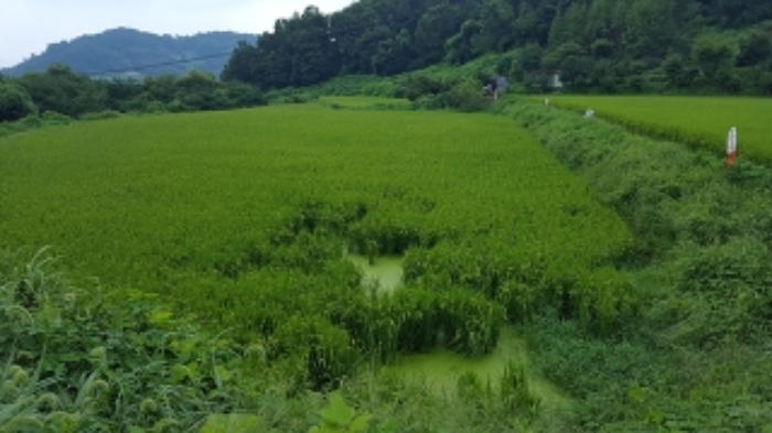 홍성지원 2019타경4482-1 사진