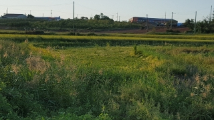 홍성지원 2019타경5324-1 사진