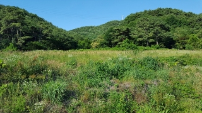 홍성지원 2019타경16720-1 사진