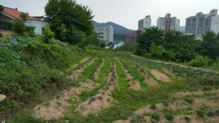 홍성지원 2019타경16812-1 사진