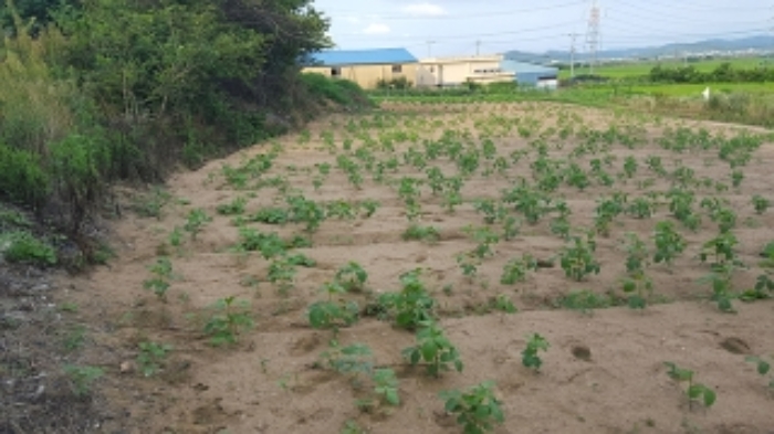 홍성지원 2019타경17075-1 사진
