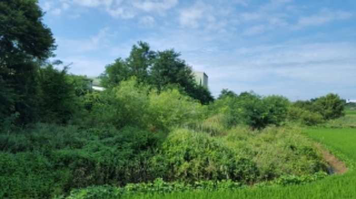 홍성지원 2019타경17242-1 사진