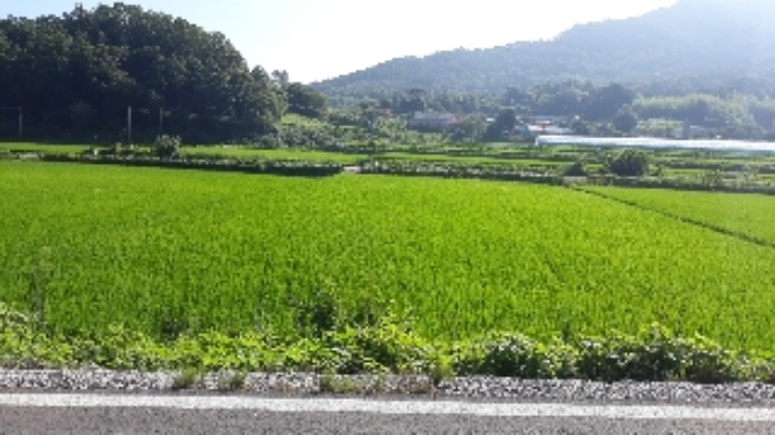 홍성지원 2019타경17327-1 사진