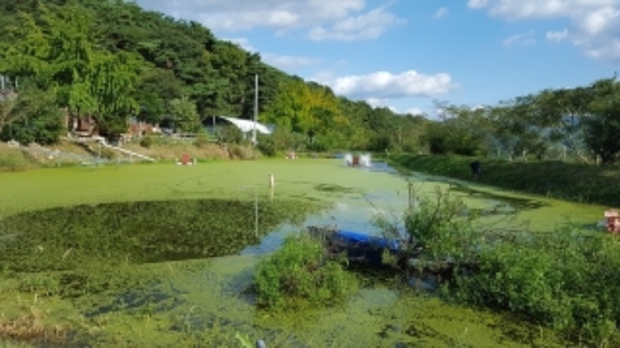 홍성지원 2019타경17792-1 사진
