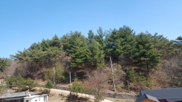 홍성지원 2020타경15679-1 사진