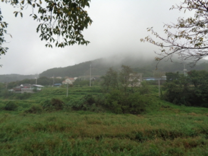 천안지원 2019타경11059-1 사진