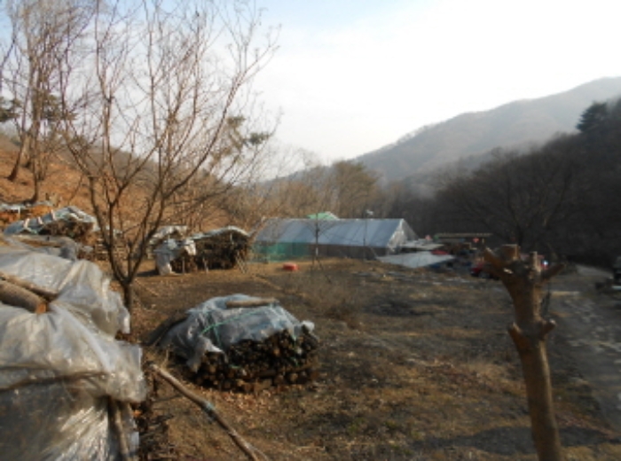 천안지원 2019타경100973-1 사진