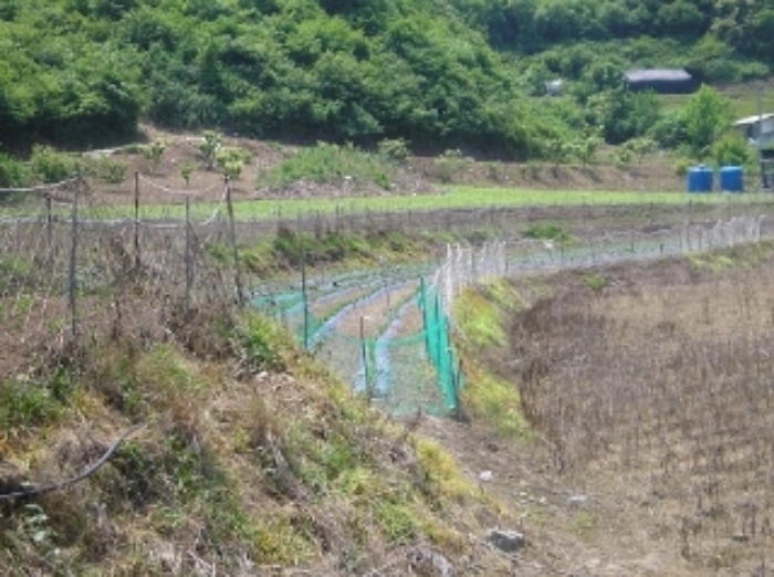 공주지원 2022타경632-2 사진
