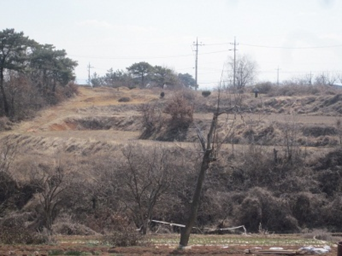 서산지원 2014타경3974-1 사진
