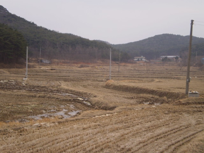 서산지원 2014타경3998-2 사진