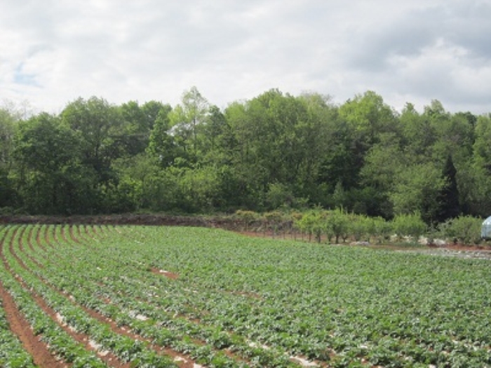 서산지원 2014타경6003-1 사진