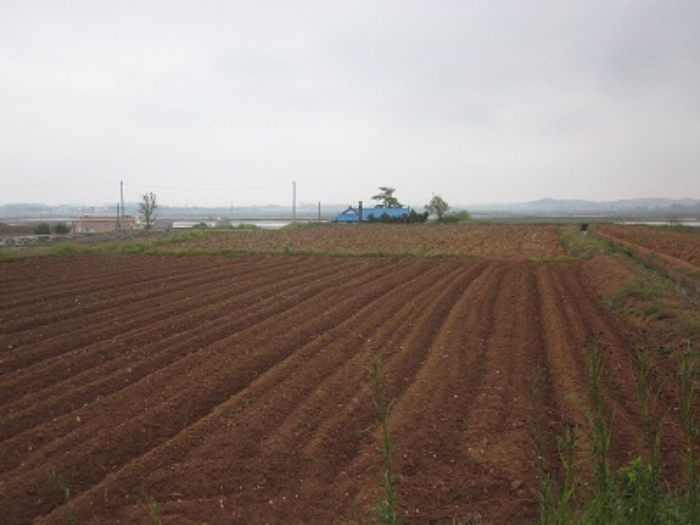 서산지원 2014타경6423-1 사진