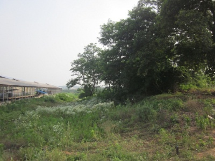 서산지원 2014타경8993-2 사진