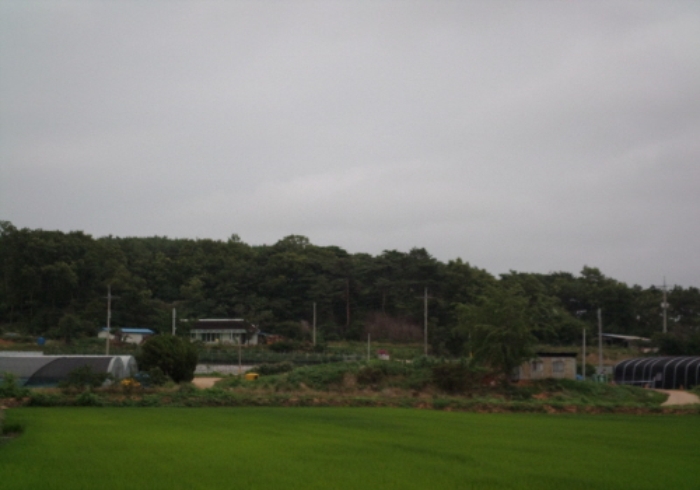 서산지원 2014타경10163-1 사진