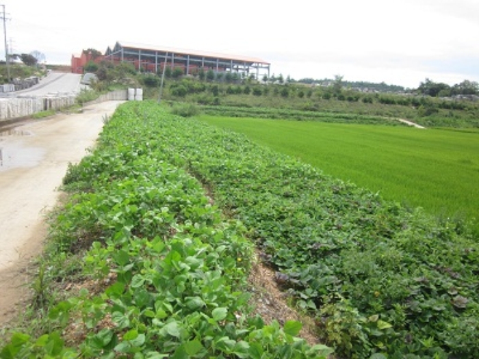 서산지원 2014타경10880-1 사진