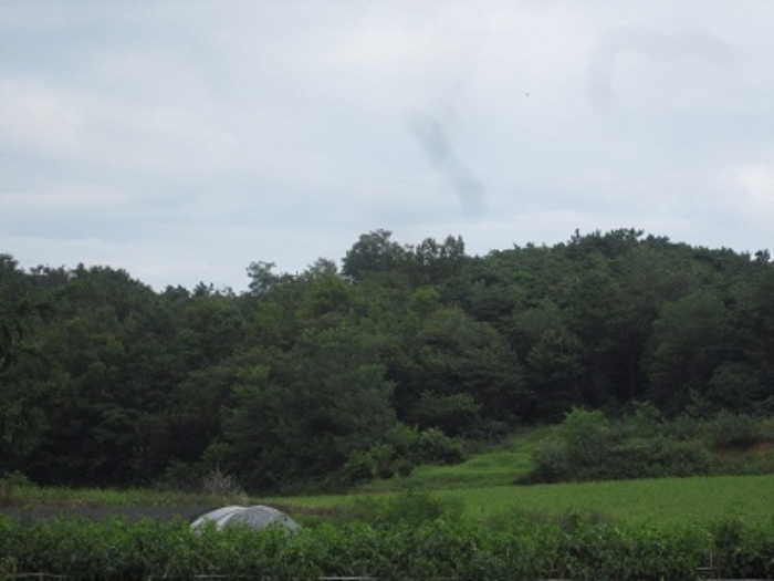 서산지원 2014타경10897-1 사진