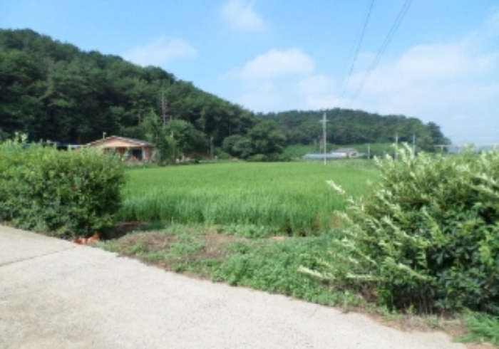서산지원 2014타경10903-1 사진