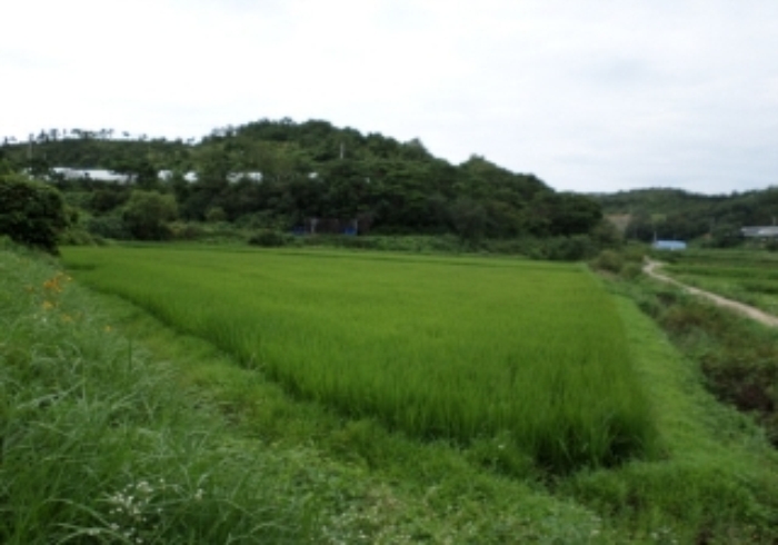 서산지원 2014타경11562-2 사진