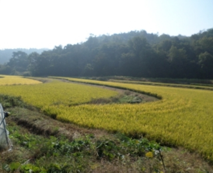 서산지원 2014타경12671-3 사진