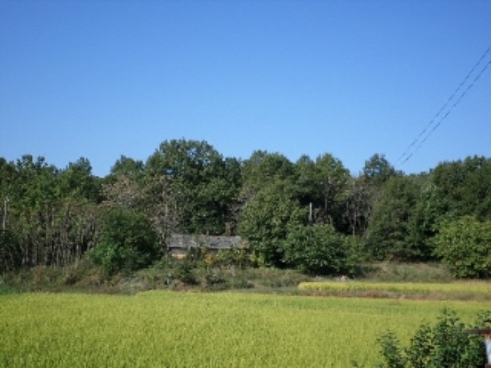 서산지원 2014타경13452-2 사진